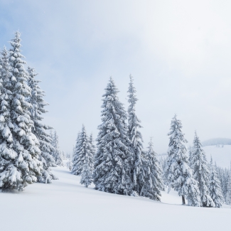 Navigating Winter Wonderland: Orthopedic Tips for Snowy Days